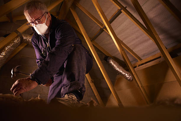 Best Insulation for New Construction  in Terre Haute, IN